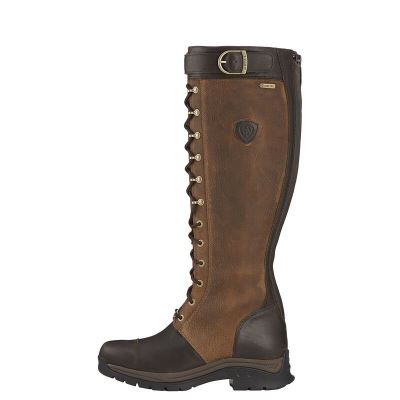 Ariat Berwick Gore-Tex - Lange Laarzen Bruin / Chocola Dames - 39611-676